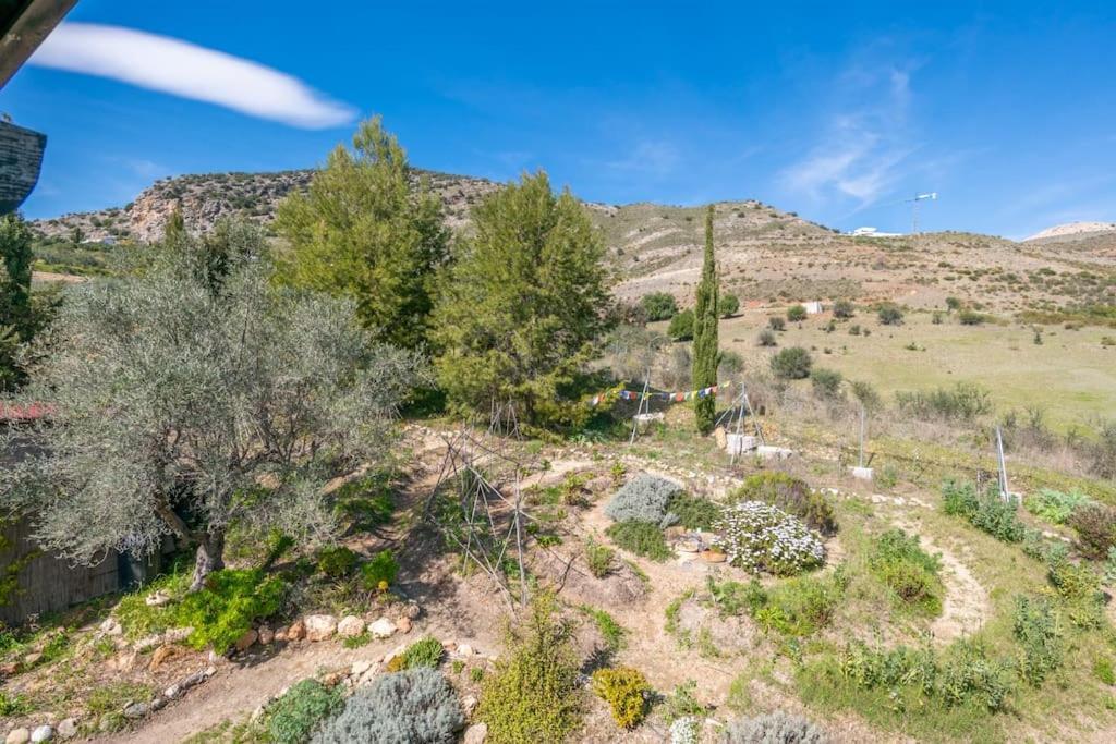 Satori, Paradise In Rural